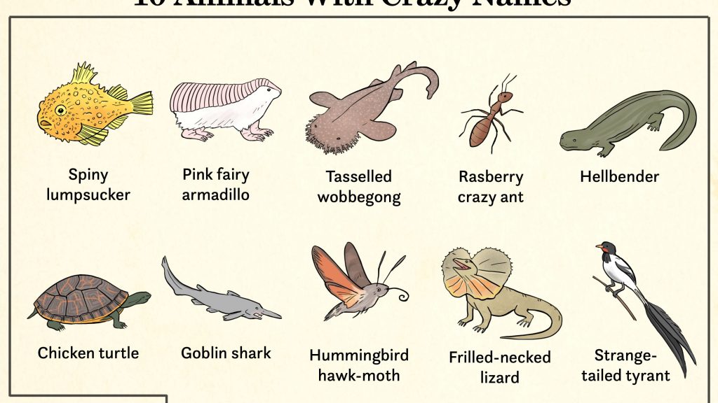 animals names for kids