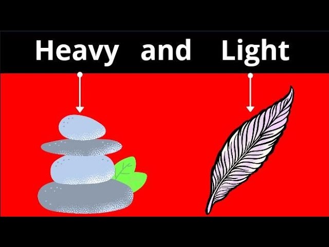 Worksheets for heavy and light