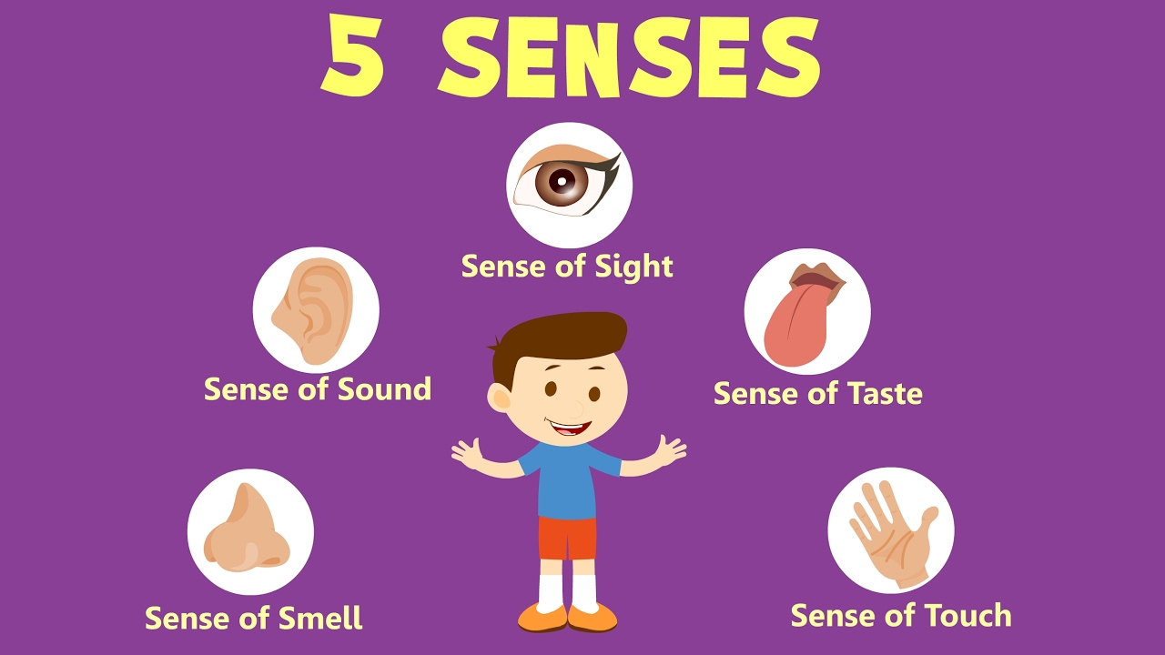 Sense Organs Name Online Learning Sense Organs Worksheet For Kids Kinderspecial